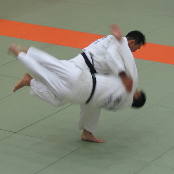 Egy judóka (jobbra) harai-goshi dobást hajt végre, kihasználva ellenfele lendületét és egyensúlyvesztését. A judo alapelve szerint a lágyság képes győzedelmeskedni a nyers erő felett, ha a megfelelő pillanatban alkalmazzuk.